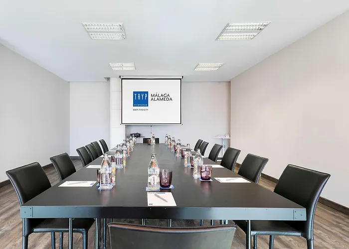 Alameda Centro Affiliated By Melia