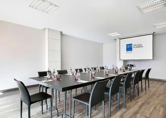 Отель Alameda Centro Affiliated By Melia 4*