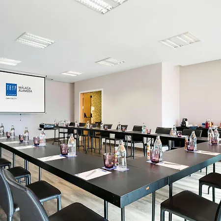 Alameda Centro Affiliated By Melia